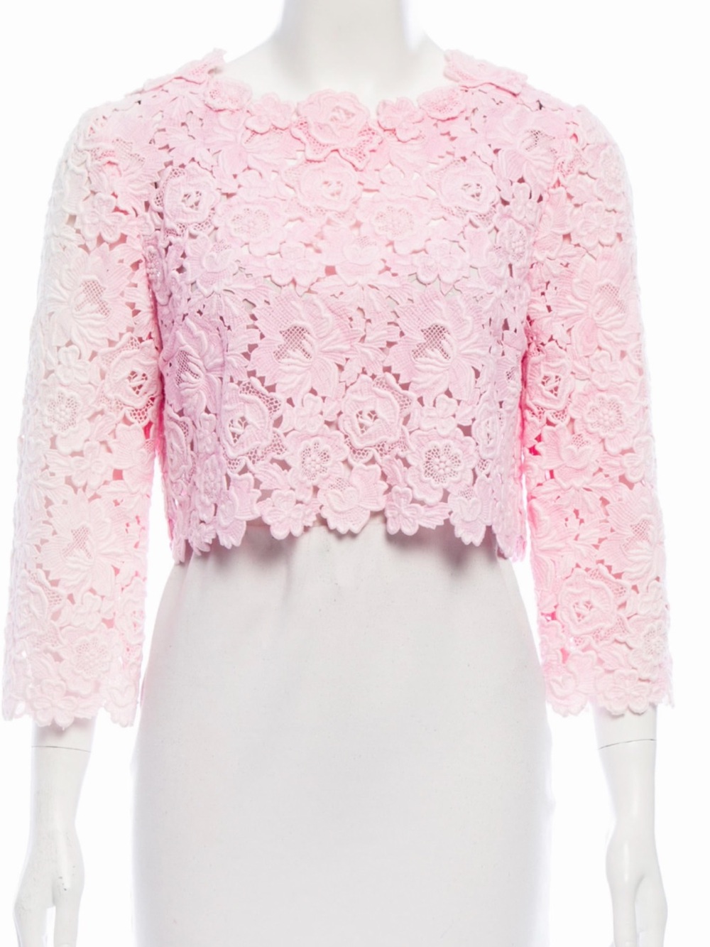 Oscar de la  Renta Ombré Lace Crop Top